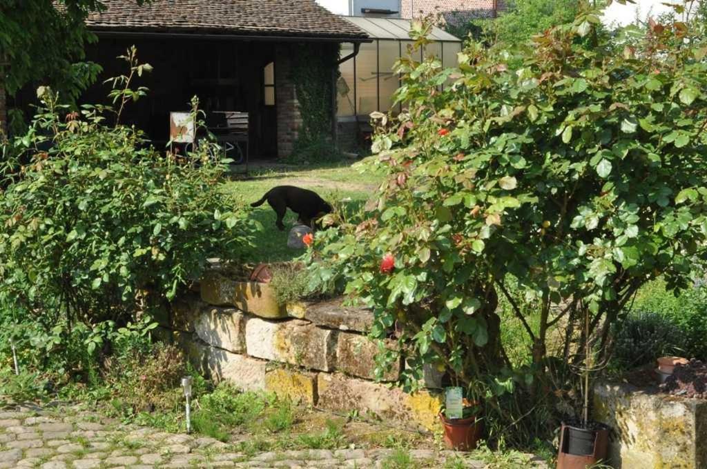Gästezimmer - Fuhrhalterei Maul Breuberg Exterior foto