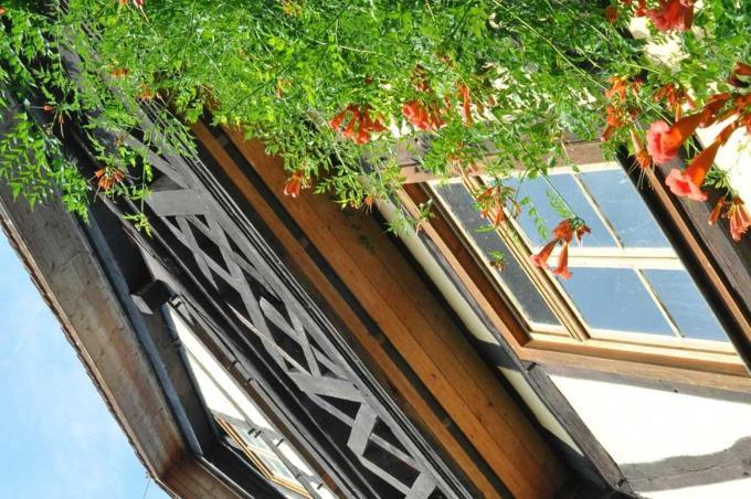 Gästezimmer - Fuhrhalterei Maul Breuberg Exterior foto