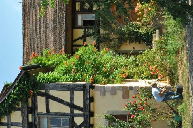 Gästezimmer - Fuhrhalterei Maul Breuberg Exterior foto
