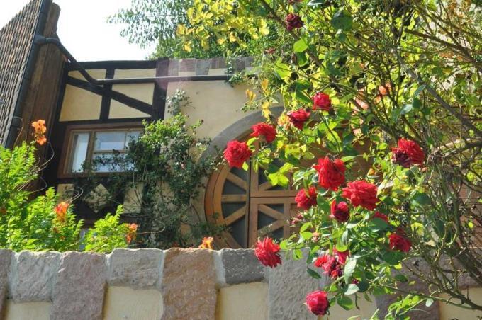Gästezimmer - Fuhrhalterei Maul Breuberg Exterior foto