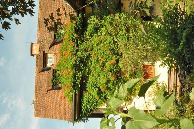 Gästezimmer - Fuhrhalterei Maul Breuberg Exterior foto